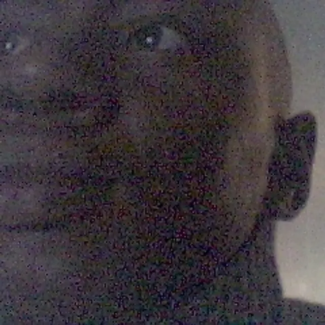 Fabrice N