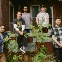 Fiddlehead