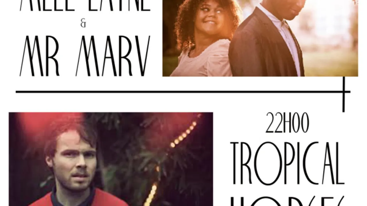 fav and live : mlle layne and mr alv et  tropical horses