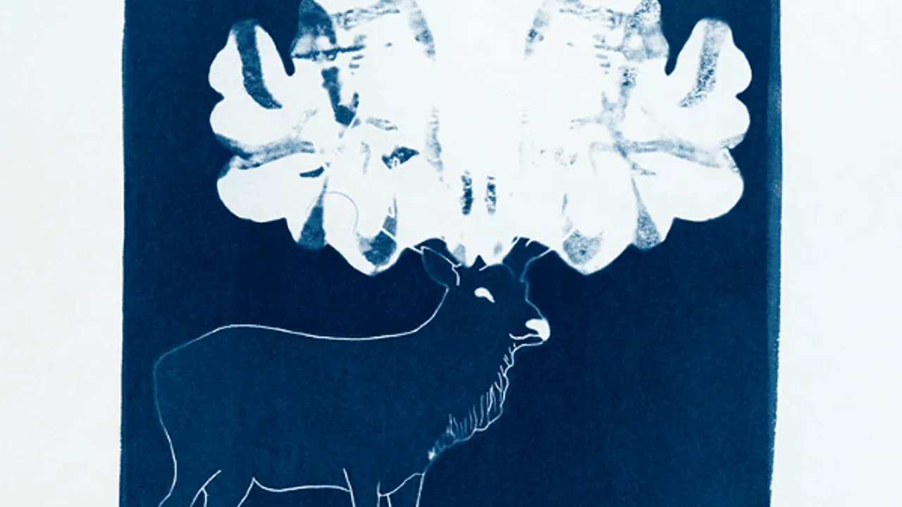 Atelier de pratique en famille – Du portrait au cyanotype avec Elisabeth Schneider