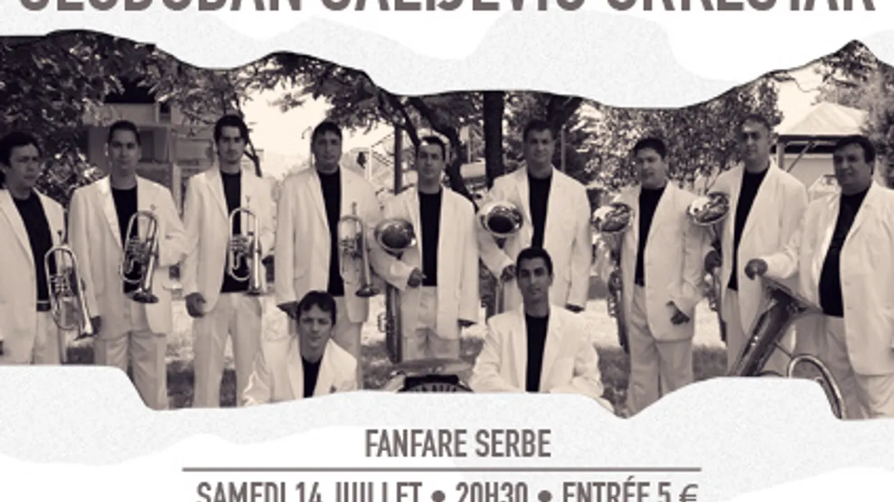 Slobodan Salijevic Orkestar