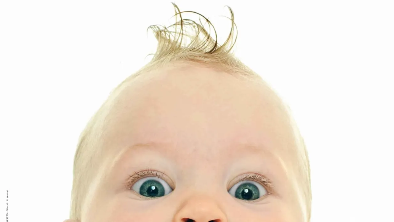 On Purge Bébé