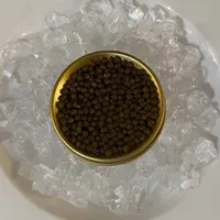 Bubble Bliss