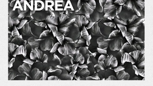 Moose avec Breton Dj set, Tommy Jacob, Julia Losfelt & Andrea