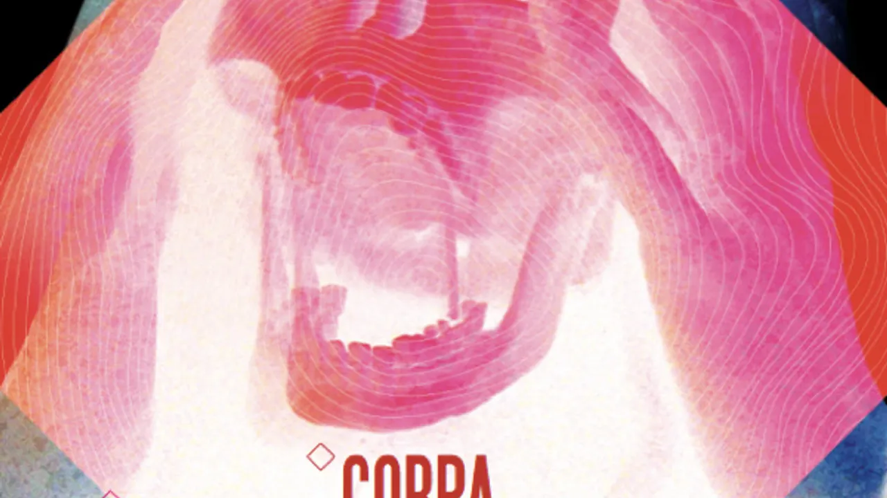 New noise in france #2 : Cobra + extreme precautions + guests