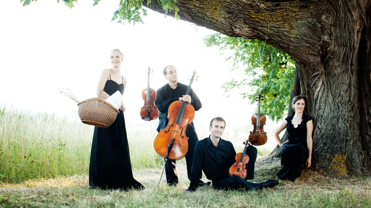 Concert ADAMAS QUARTETT