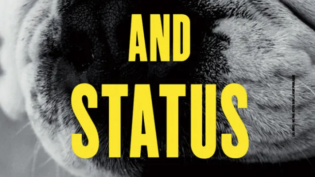 CHASE AND STATUS LIVE + NERO + DJ NETIK (ANNULE)