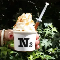 N2 Extreme Gelato