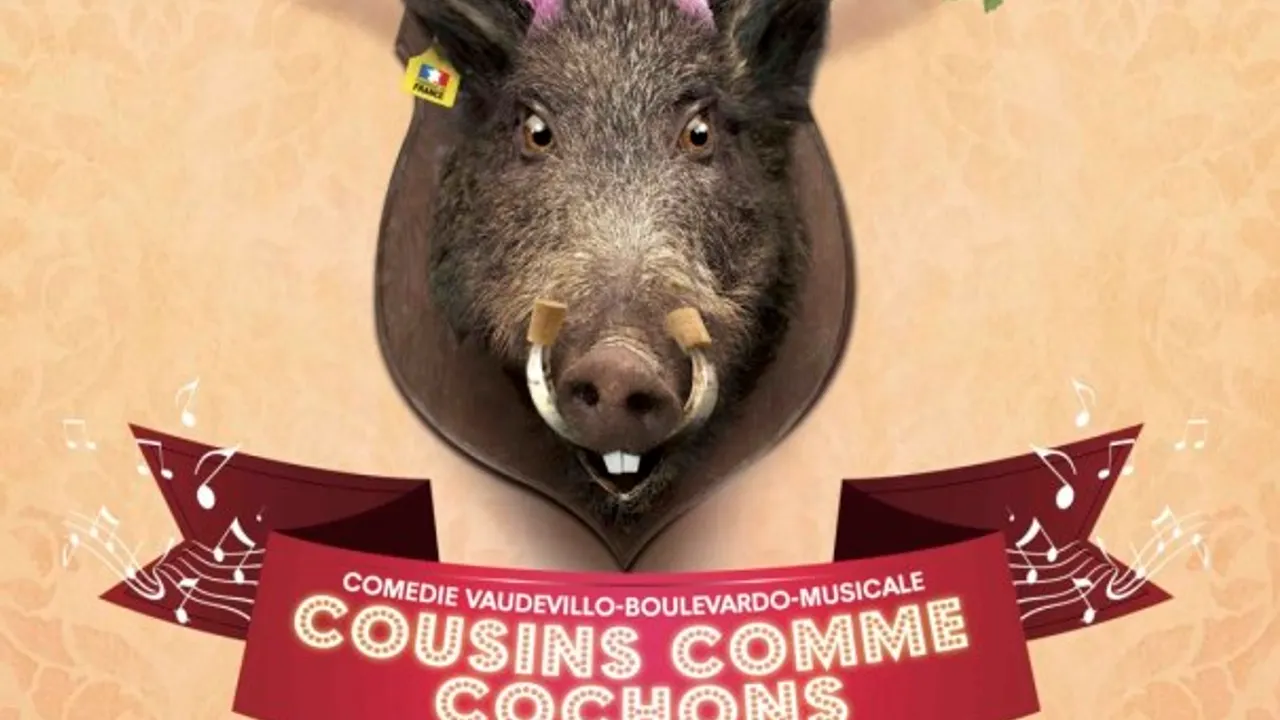 COUSINS COMME COCHONS