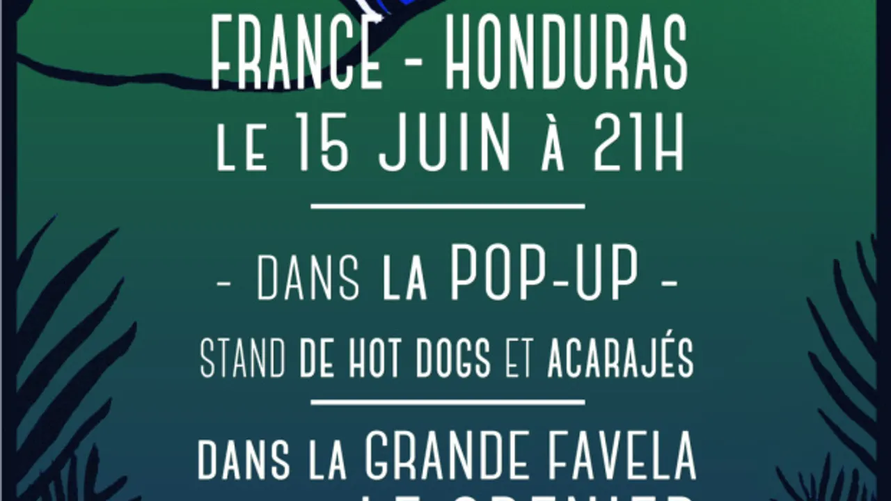 Copa Del Mundo  France Honduras