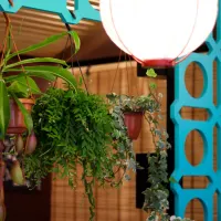 Cho Cantine