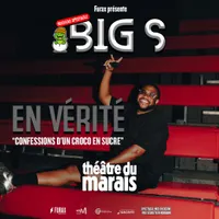 BIG S - En Vérité : Confessions d'un croco en sucre