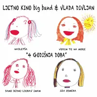 Vlada Divljan