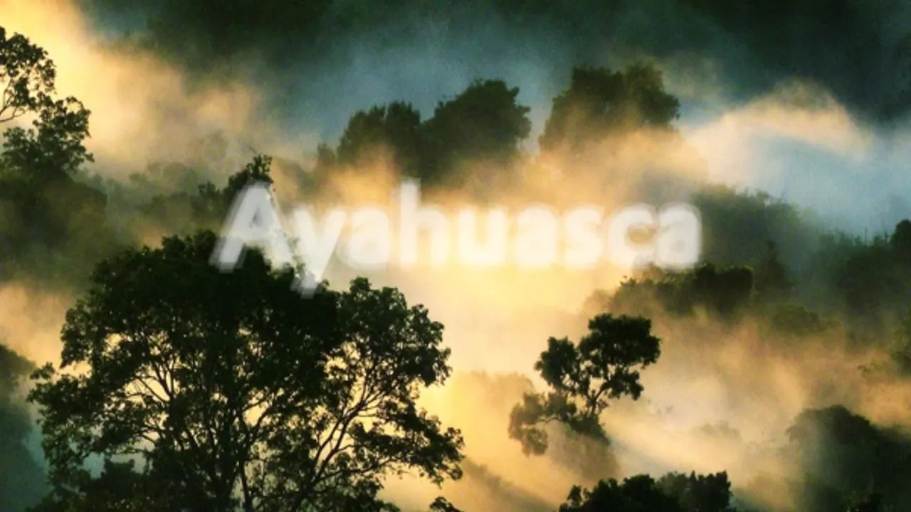 Ayahuasca: Be Svendsen (live), Milo Häfliger, Sander, Guest