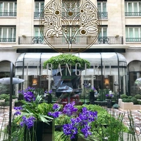 L'Orangerie