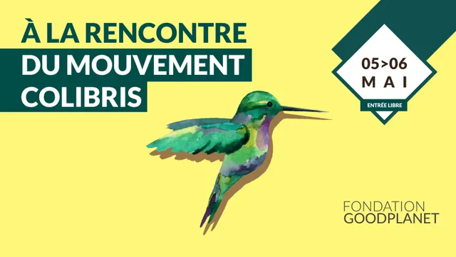 A LA RENCONTRE DU MOUVEMENT COLIBRIS