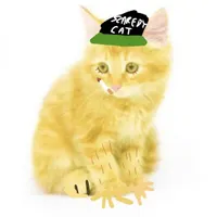 wifiskeleton