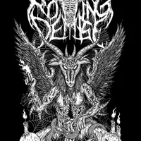 Rotting Demise