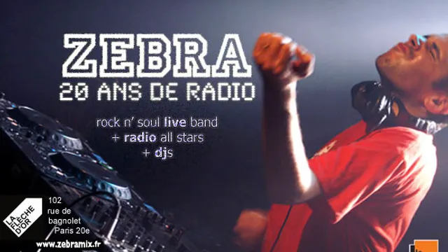 Zebra Rock 'N Soul