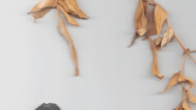 JAMIE WOON + FAROE