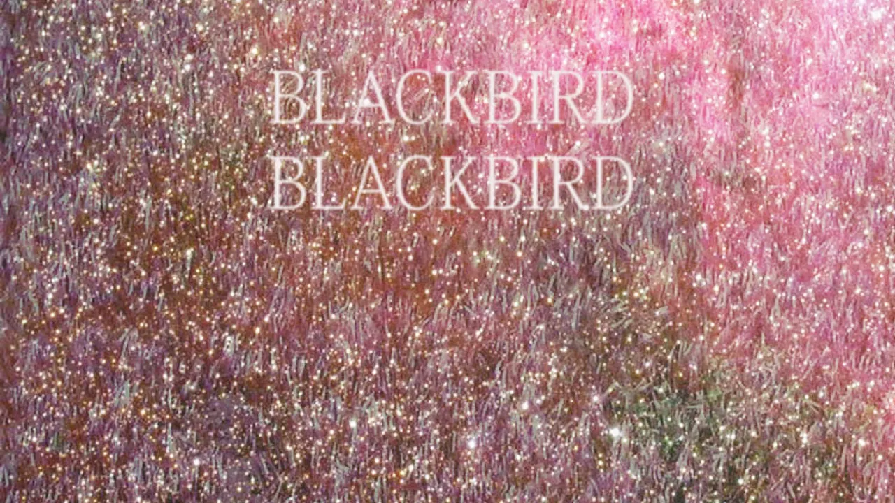 Blackbird Blackbird en concert