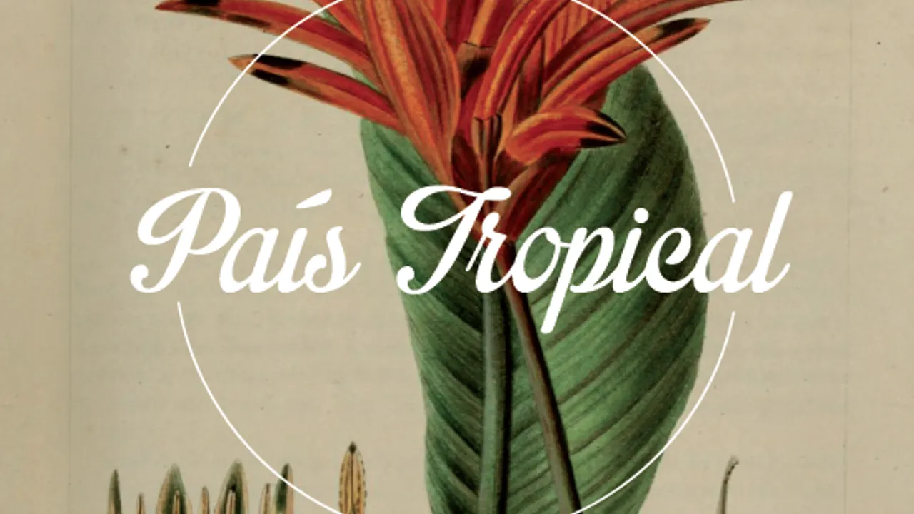 Pais Tropical Pigalle Carnaval