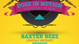 Dogz in Motion W/ Baxter Beez