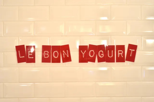 Chacun ses Goûts, faites-vous même votre Frozen Yogurt !