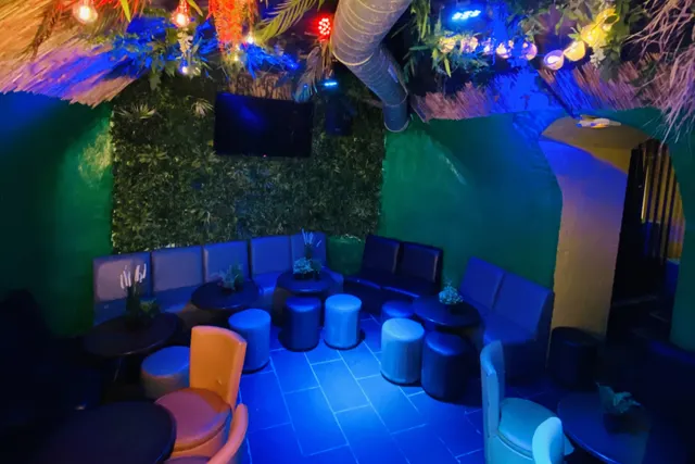 Jungle Zone
