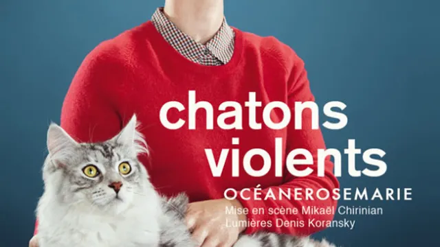 Chatons Violents d'Océanerosemarie