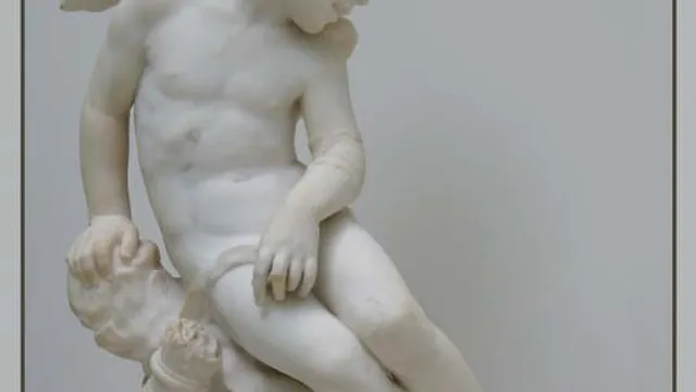 Le jeune Amour, Cie belles danses