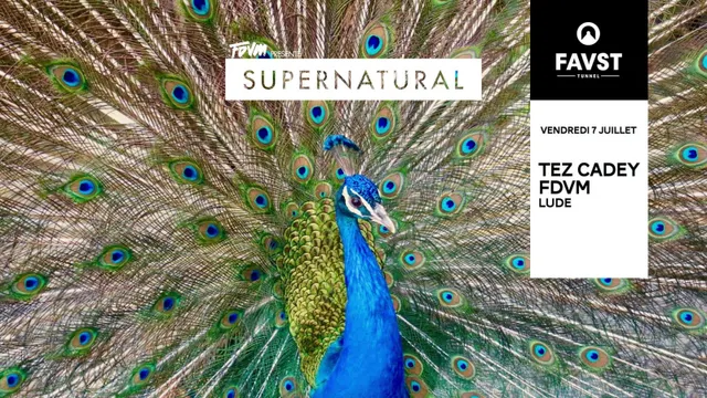 Faust x Supernatural : Tez Cadey, FDVM, Lude