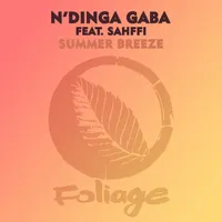 N'Dinga Gaba