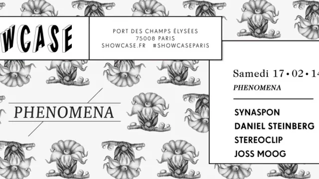 PHENOMENA : SYNAPSON invite DANIEL STEINBERG/STEREOCLIP/JOSS MOOG