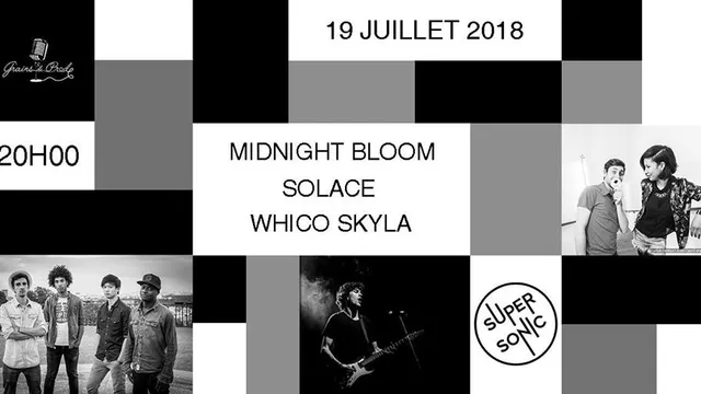 Midnight Bloom - Solace - Whico Skyla