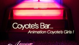 After 7 - Coyote's Bar