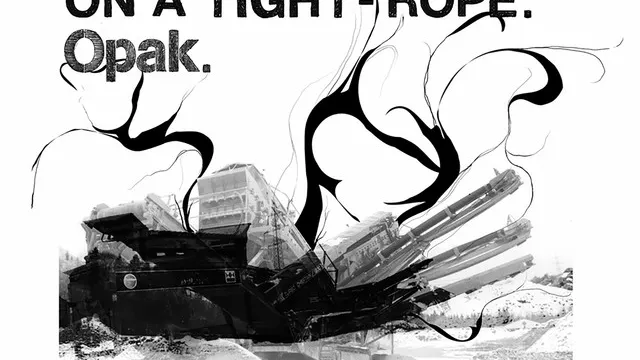 After O'clock x La Plage: Tigerhead