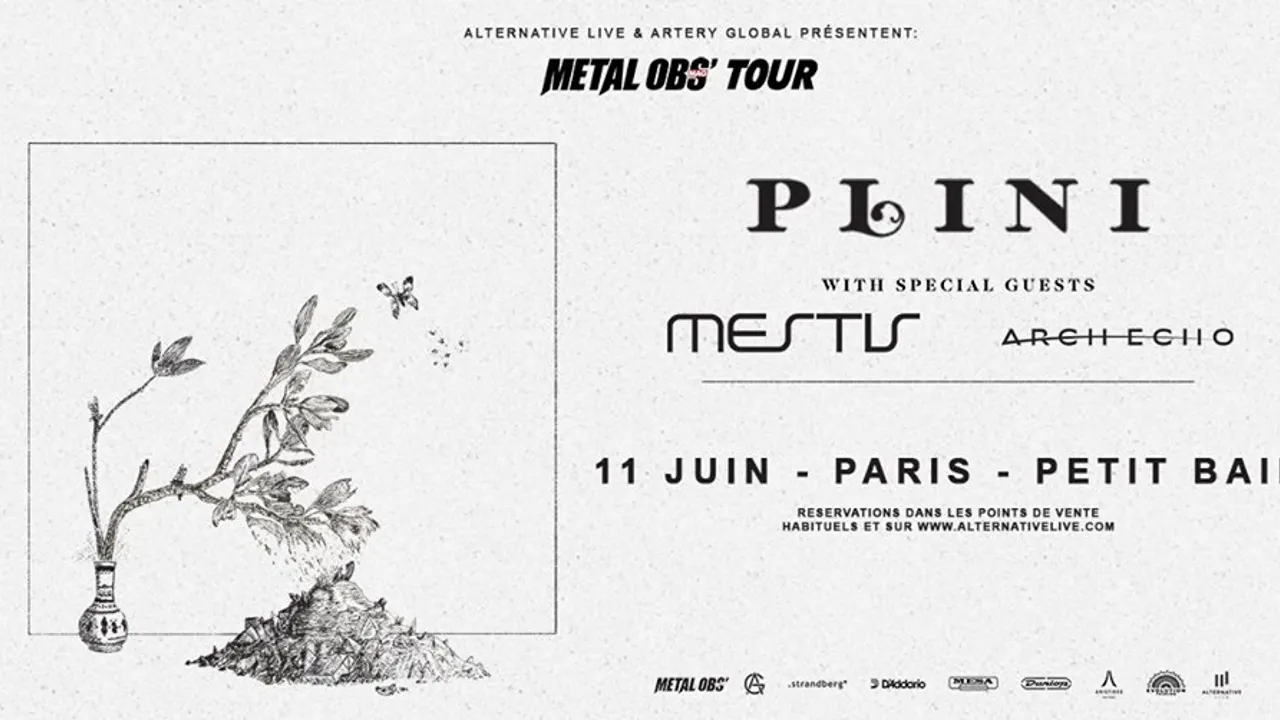 PLINI