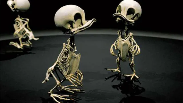 Daft Ducks are back from the dead