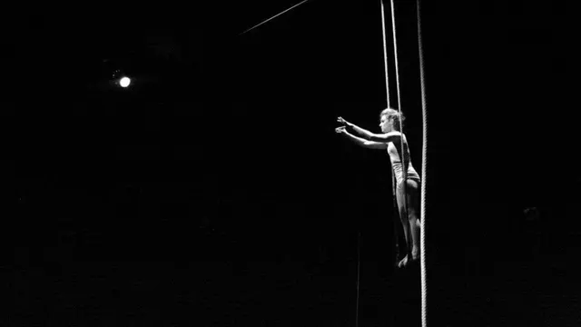 CIRQUE LABORATOIRE
