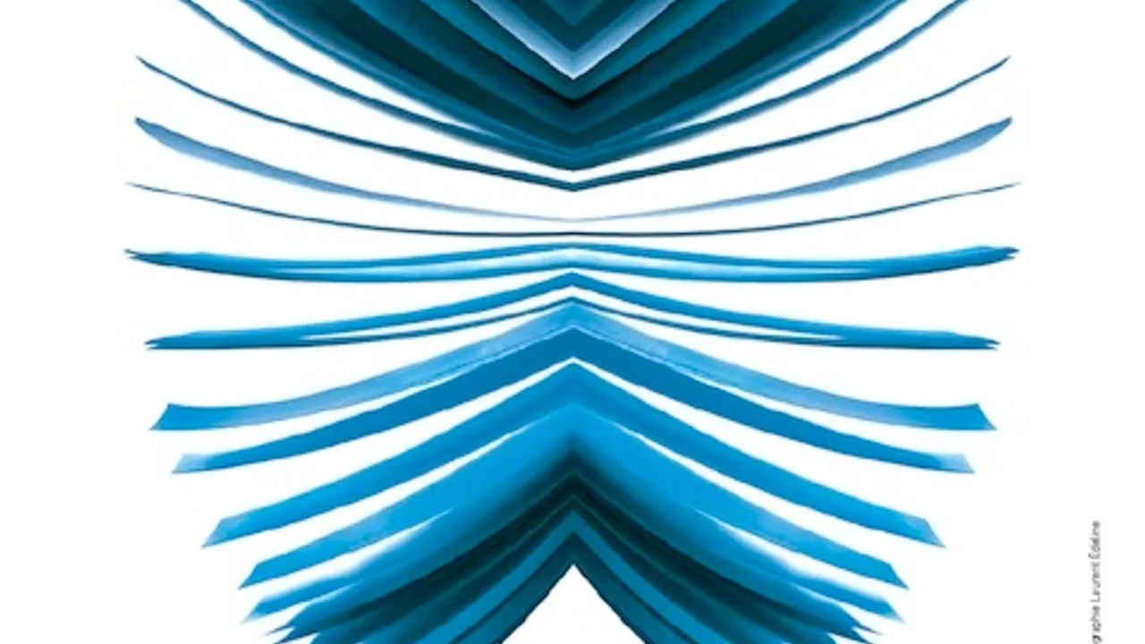 Salon du livre 2013