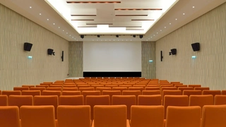 La Fête du Cinéma : Chronique d'un été au Musée de l'Homme