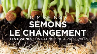 Semons le changement : Les graines, un patrimoine à préserver