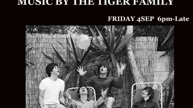 It's Friday Let's party
