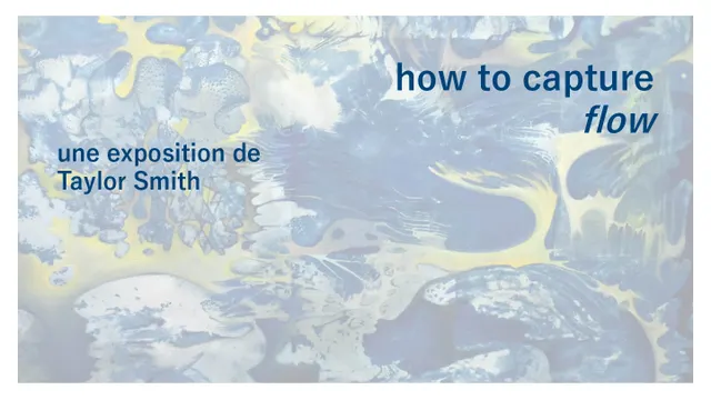 Exposition : "How to Capture Flow" de Taylor Smith
