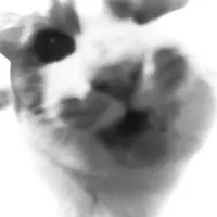 snoa