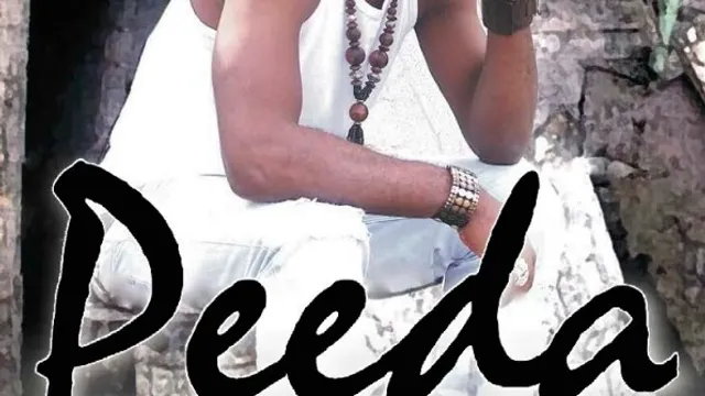 PEEDA en concert