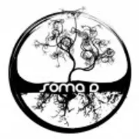 Soma D