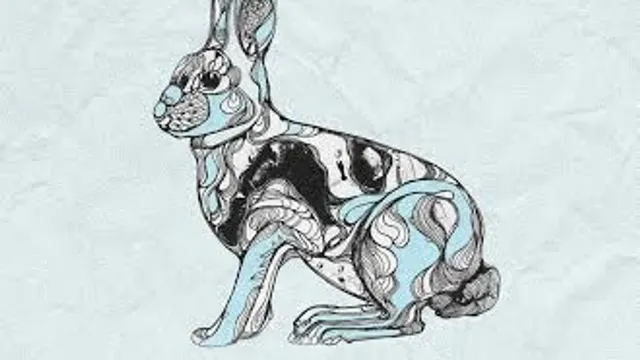 Bass y Bouzouk Vs Follow The White Rabbit