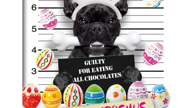 EASTER PARTY